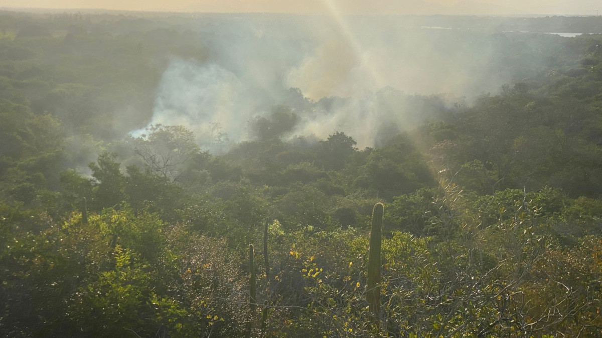  incêndio florestal de grandes proporções nas Matas de Tabuleiro das Dunas do Catu.