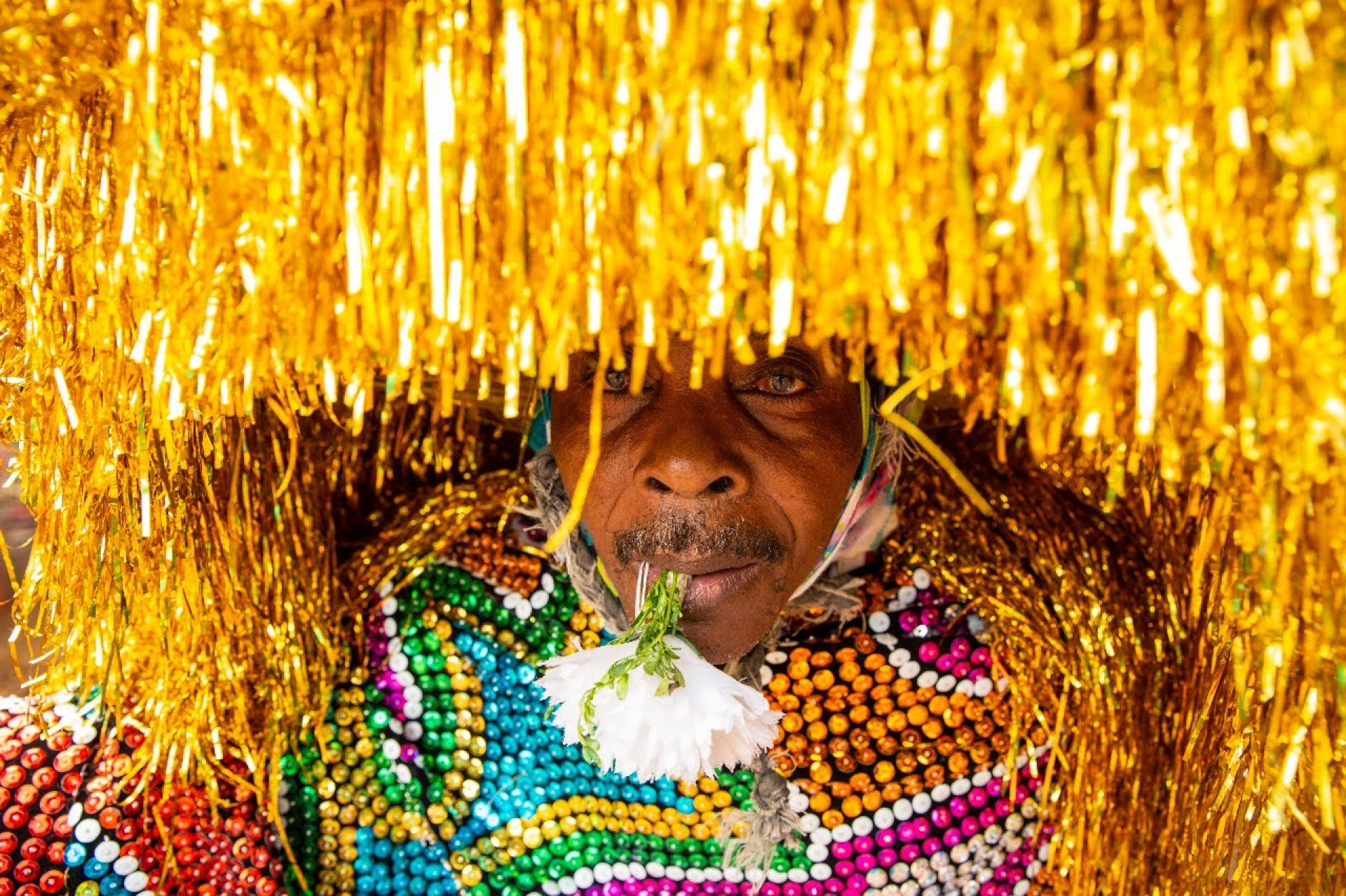  (MAC-CE), no Centro Dragão do Mar de Arte e Cultura, abre ao público a exposição "Bloco do Prazer"