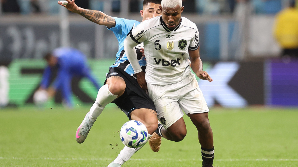 Botafogo e Grêmio se enfrentam hoje, 22, pelo Brasileirão. 