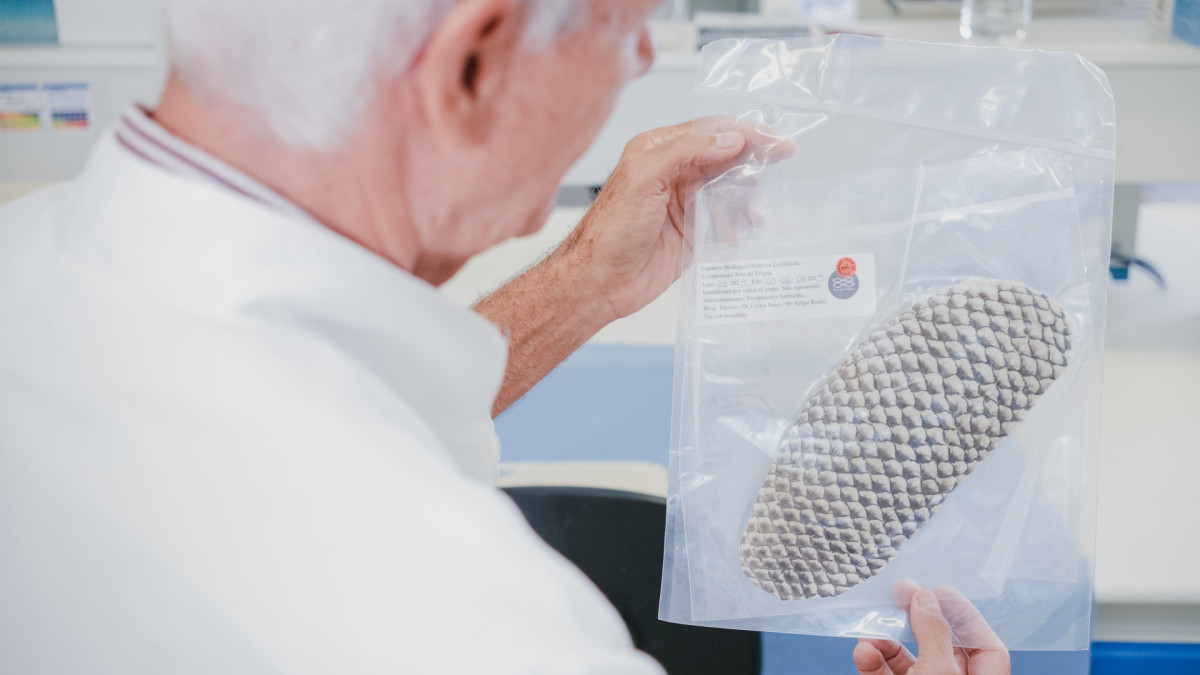 A patente ligada à pele de tilápia liofilizada permanece uma propriedade da UFC e de seus cotitulares