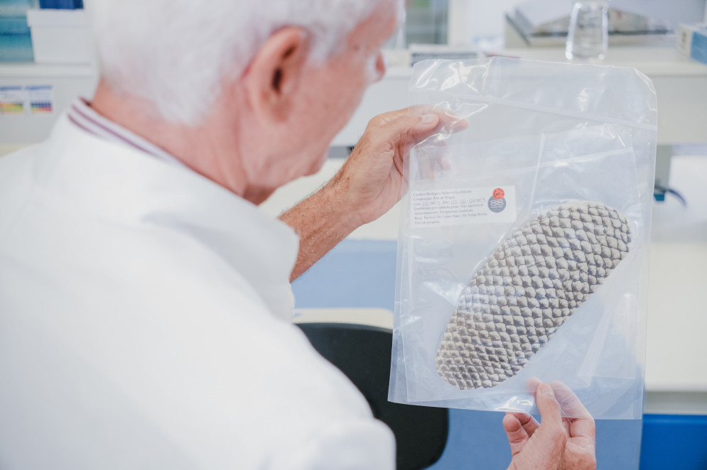 A patente ligada à pele de tilápia liofilizada permanece uma propriedade da UFC e de seus cotitulares(Foto: FERNANDA BARROS/O POVO)