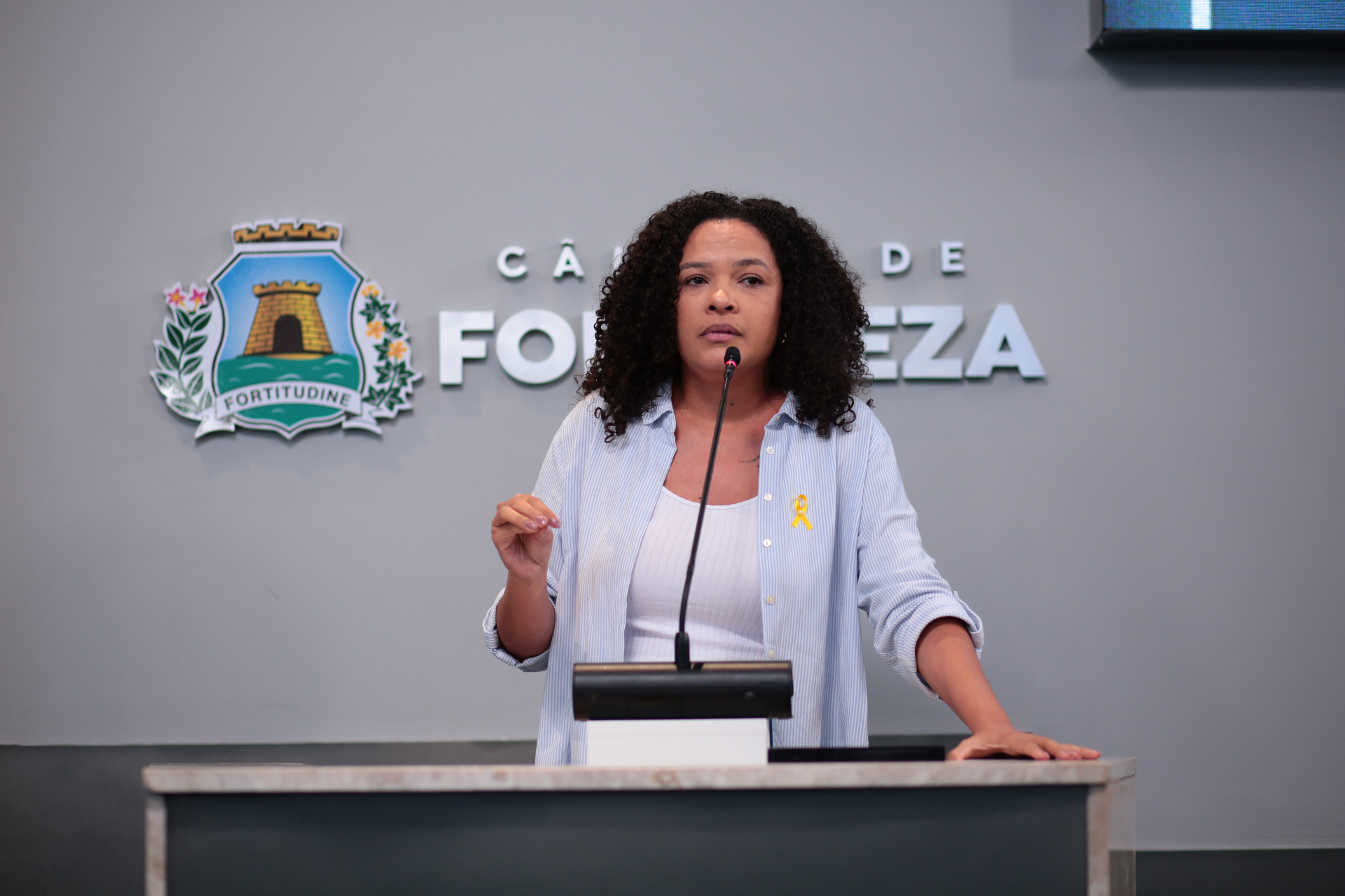 Adriana Ger&ocirc;nimo &eacute; a vereadora autora da proposta que busca implementar tarifa zero no transporte coletivo por &ocirc;nibus em Fortaleza