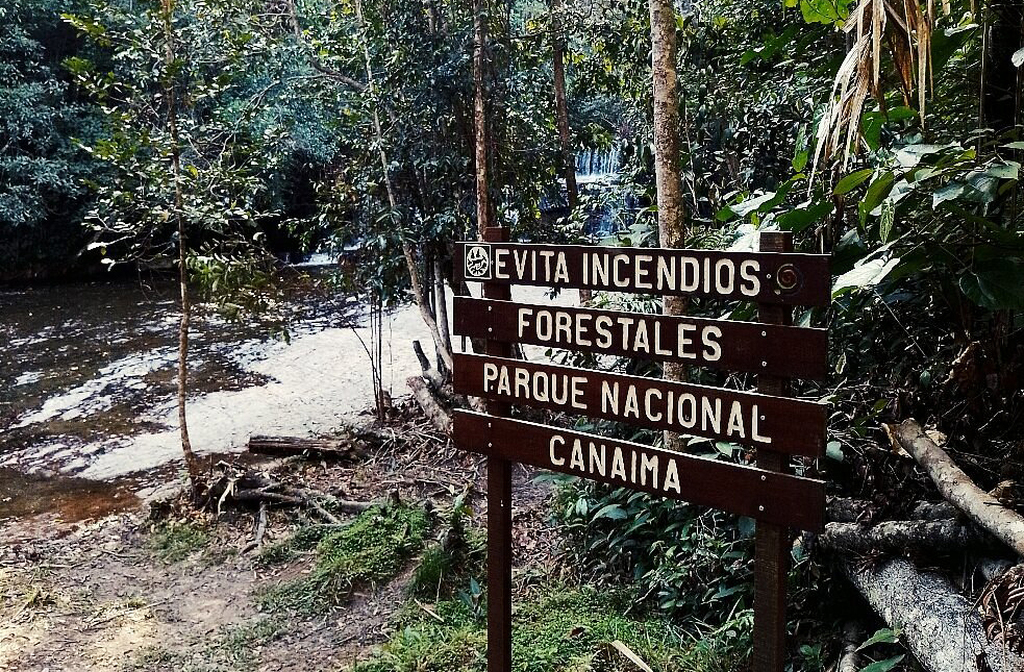 O Monte Roraima está protegido por parques nacionais, como o Parque Nacional Canaima, na Venezuela. No Brasil, integra áreas de preservação ambiental. A conservação é vital diante do aumento do turismo. Proteger o tepui, portanto, é preservar um patrimônio mundial.