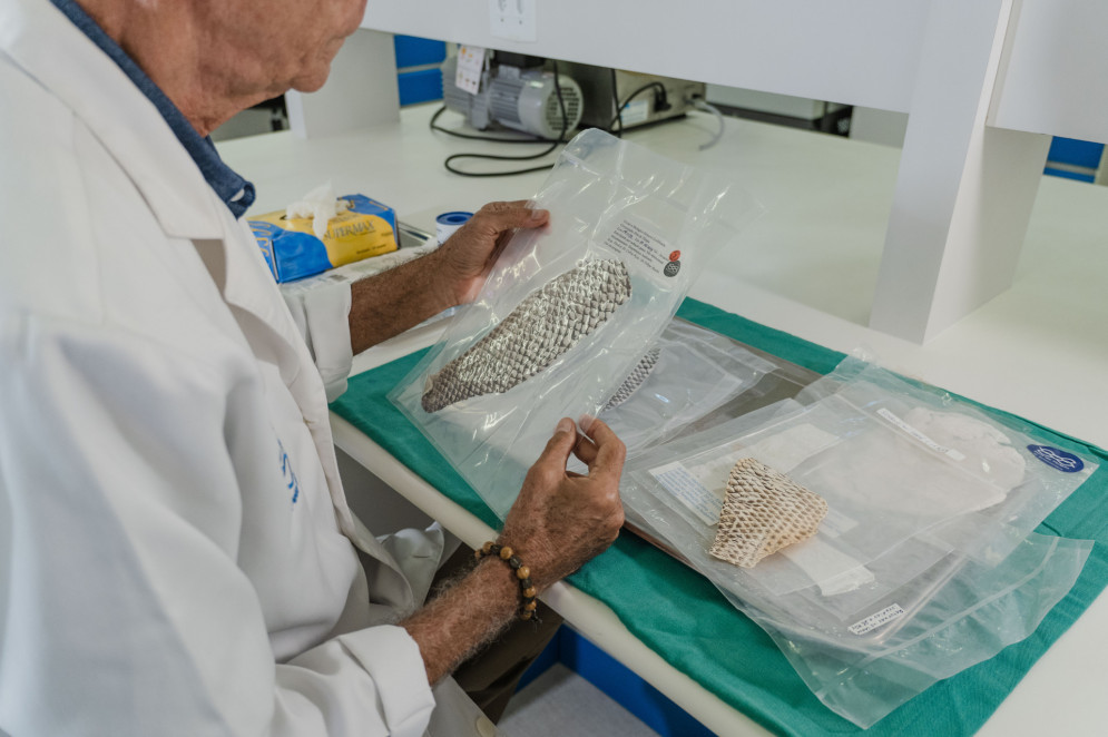 Projeto da Pele de Tilápia tem  388 pesquisadores espalhados em 10 estados no Brasil (Foto: FERNANDA BARROS)