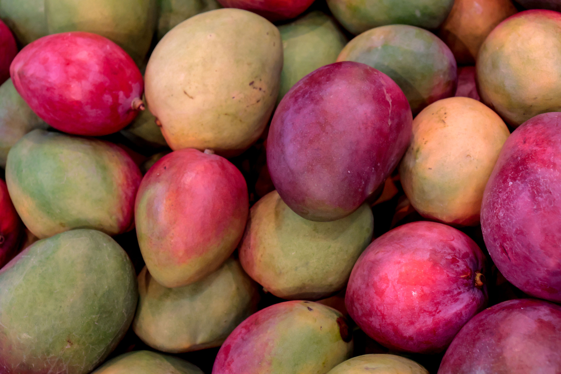 Desde janeiro, os destaques de alta s&atilde;o mam&atilde;o formosa - 1 Kg (+41,2%), Manga tommy - 1 Kg (+38,7%) e Batata doce - 1 Kg (+37,2%). (Foto: Samuel Setubal)