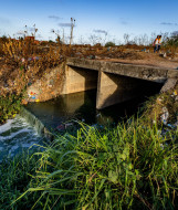 FORTALEZA, CE,  BR - 10.11.25   - Poluição no entorno do Rio Cocó (Fco Fontenele/O POVO)