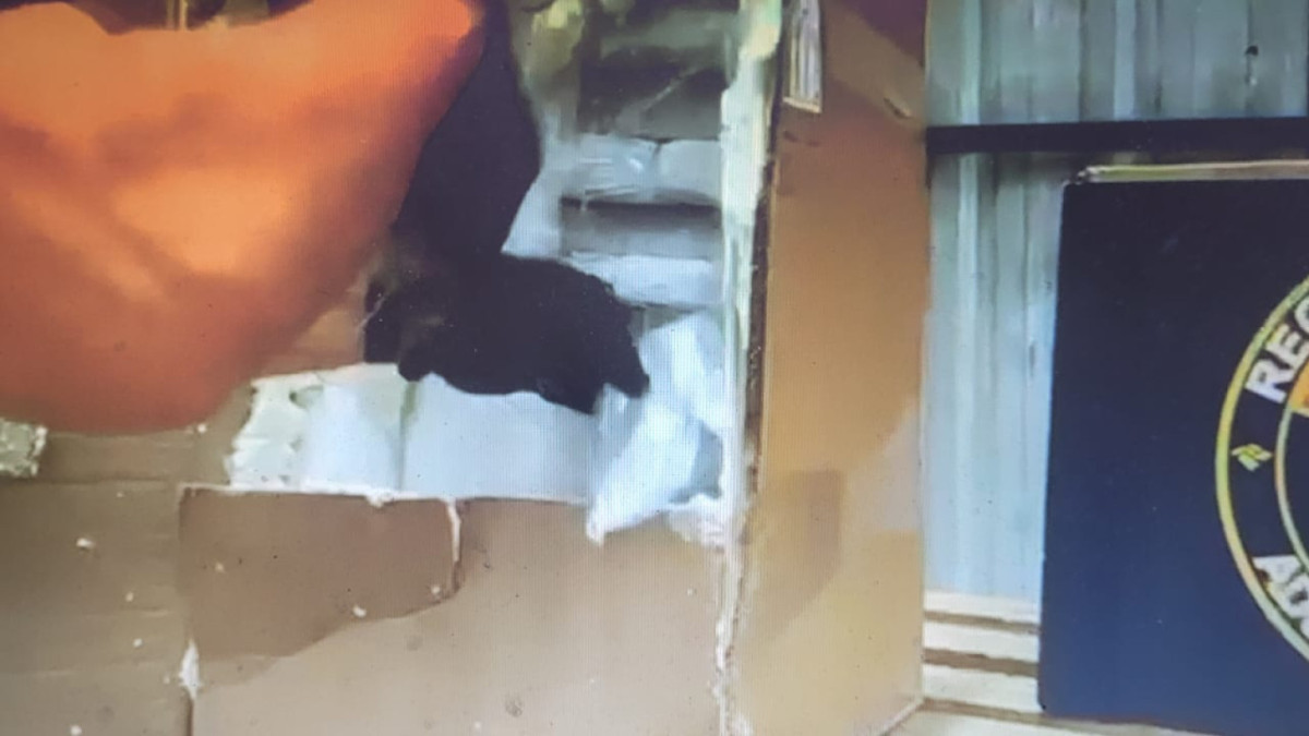 Droga foi apreendida camuflada em mercadorias regulares