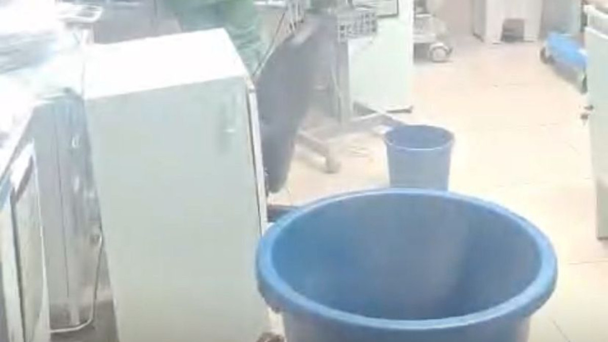 Vídeos enviados ao O POVO mostram bacias, baldes e panos espalhados pelas salas, enquanto profissionais tentavam secar a água.