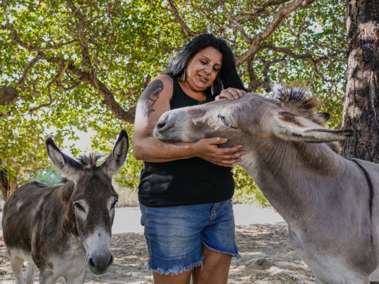 Érica de Caria, 49, cuida de jumentos maltratados
