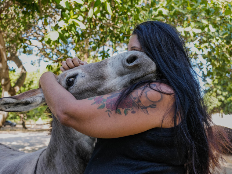 FORTALEZA, CEAR&Aacute;, BRASIL, 26-11-2025: Reportagem sobre maus-tratos de animais. Na foto, o espa&ccedil;o da protetora de animais, &Eacute;rica de Caria, 49, que cuida de jumentos e cachorros maltratados. (Foto: Fernanda Barros/ O Povo)