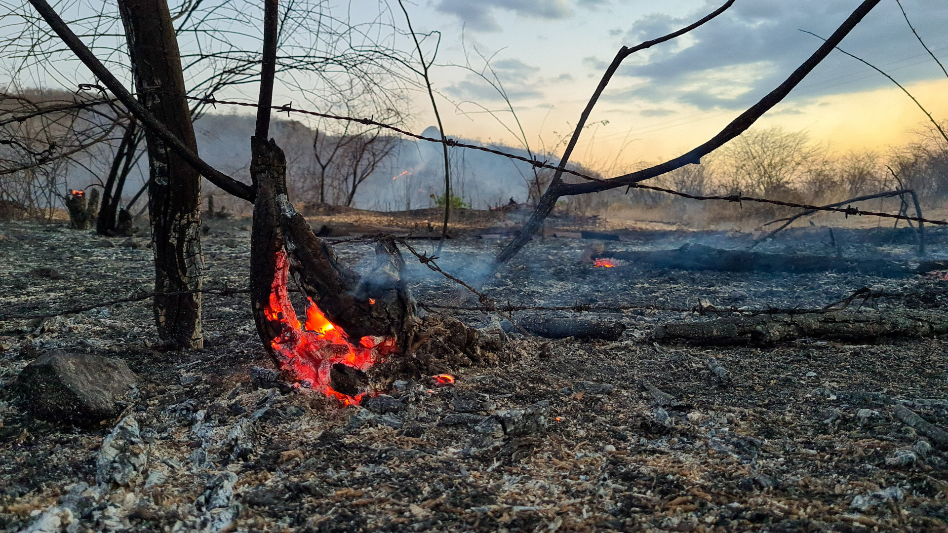 ￼HÁ intensificação de queimadas no segundo semestre do ano (Foto: FCO FONTENELE)