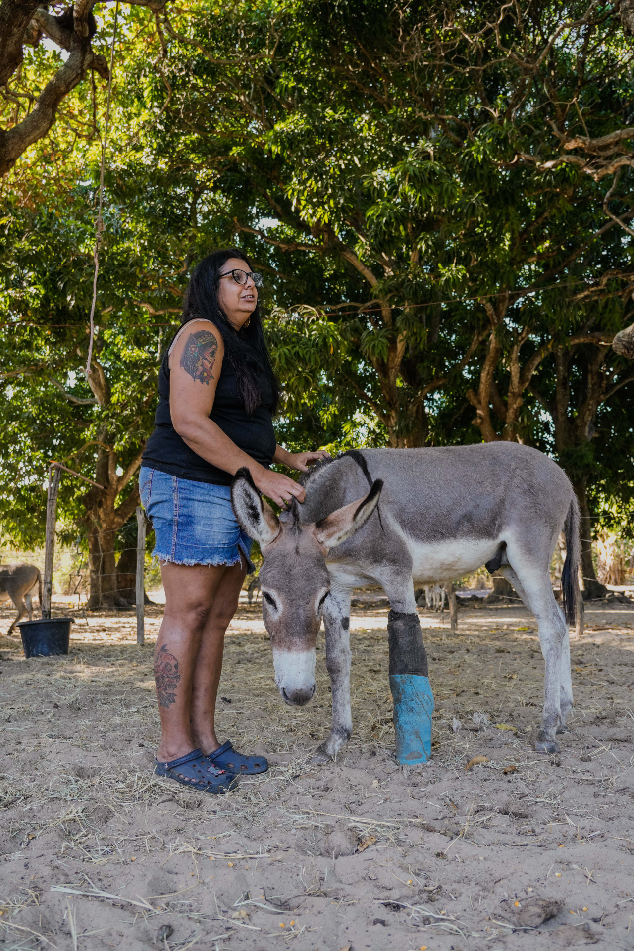 FORTALEZA, CEARÁ, BRASIL, 26-11-2025: Reportagem sobre maus-tratos de animais. Na foto, o espaço da protetora de animais, Érica de Caria, 49, que cuida de jumentos e cachorros maltratados. (Foto: Fernanda Barros/ O Povo)
