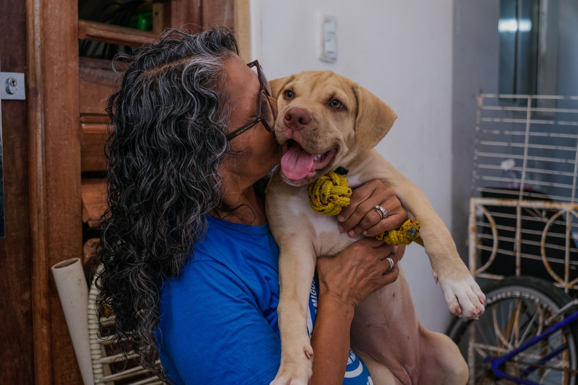 FORTALEZA, CEARÁ, BRASIL, 27-11-2025: Reportagem sobre maus-tratos de animais. Na foto, Sônia Fernandes, protetora animal, que resgata cães e gatos. (Foto: Fernanda Barros/ O Povo)