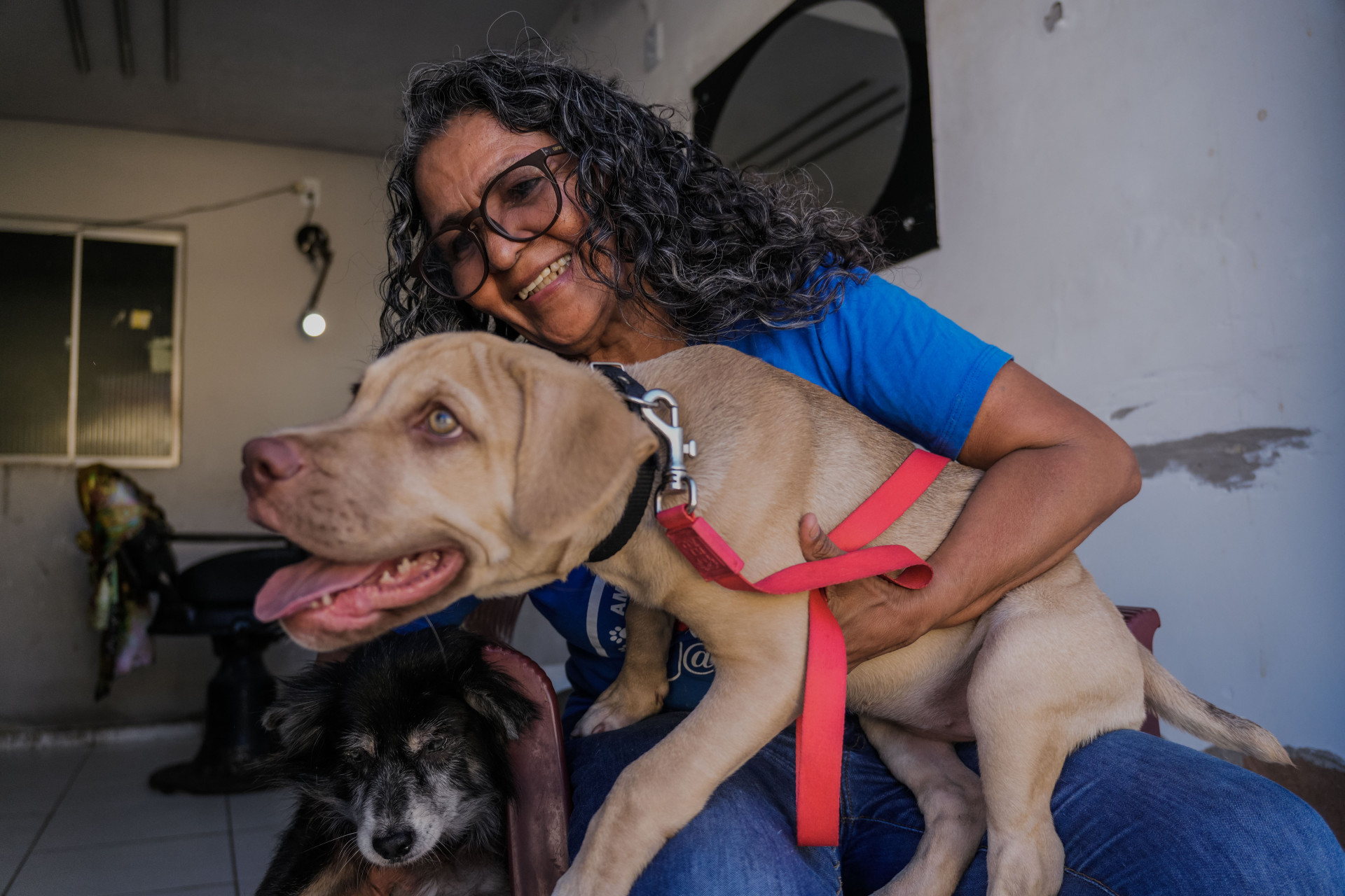 FORTALEZA, CEARÁ, BRASIL, 27-11-2025: Reportagem sobre maus-tratos de animais. Na foto, Sônia Fernandes, protetora animal, que resgata cães e gatos. (Foto: Fernanda Barros/ O Povo)
