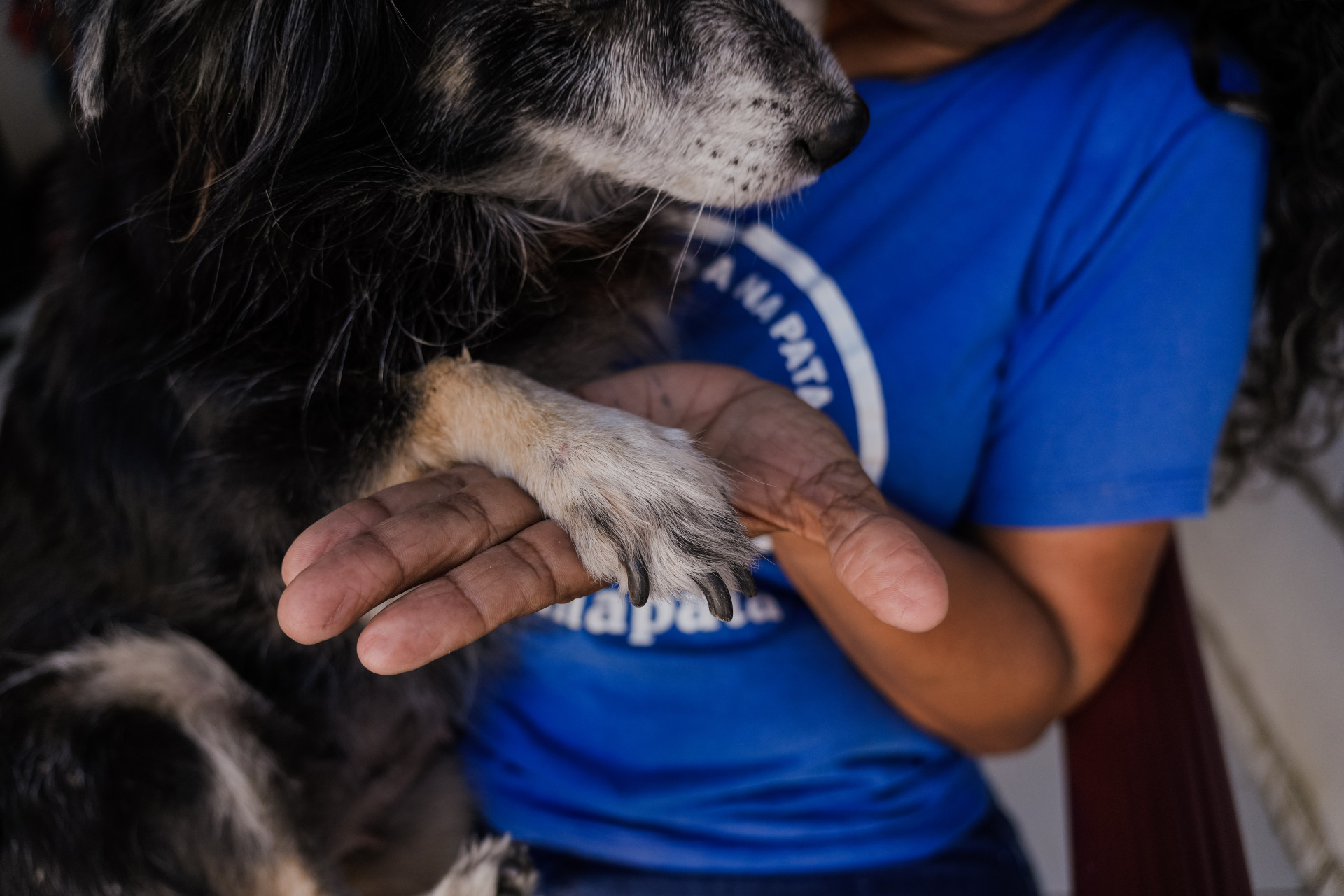 FORTALEZA, CEARÁ, BRASIL, 27-11-2025: Reportagem sobre maus-tratos de animais. Na foto, Sônia Fernandes, protetora animal, que resgata cães e gatos. (Foto: Fernanda Barros/ O Povo)