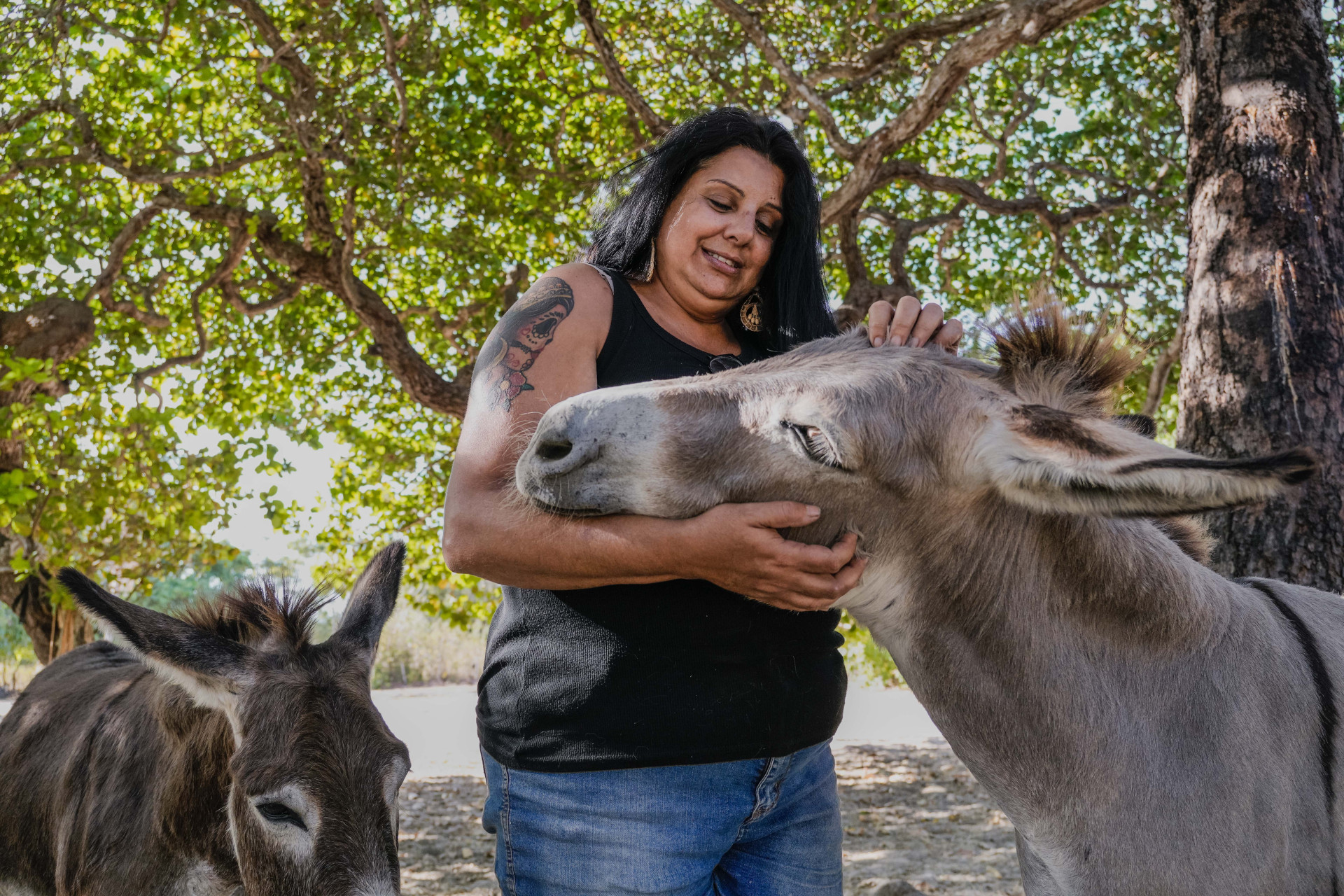 FORTALEZA, CEARÁ, BRASIL, 26-11-2025: Reportagem sobre maus-tratos de animais. Na foto, o espaço da protetora de animais, Érica de Caria, 49, que cuida de jumentos e cachorros maltratados. (Foto: Fernanda Barros/ O Povo)