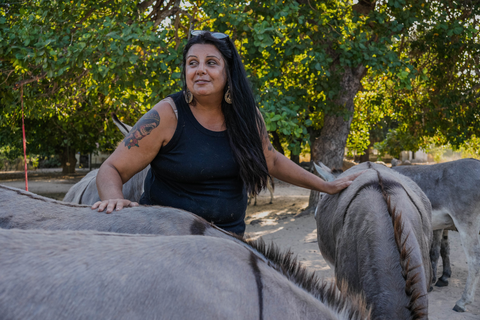 FORTALEZA, CEARÁ, BRASIL, 26-11-2025: Reportagem sobre maus-tratos de animais. Na foto, o espaço da protetora de animais, Érica de Caria, 49, que cuida de jumentos e cachorros maltratados. (Foto: Fernanda Barros/ O Povo)