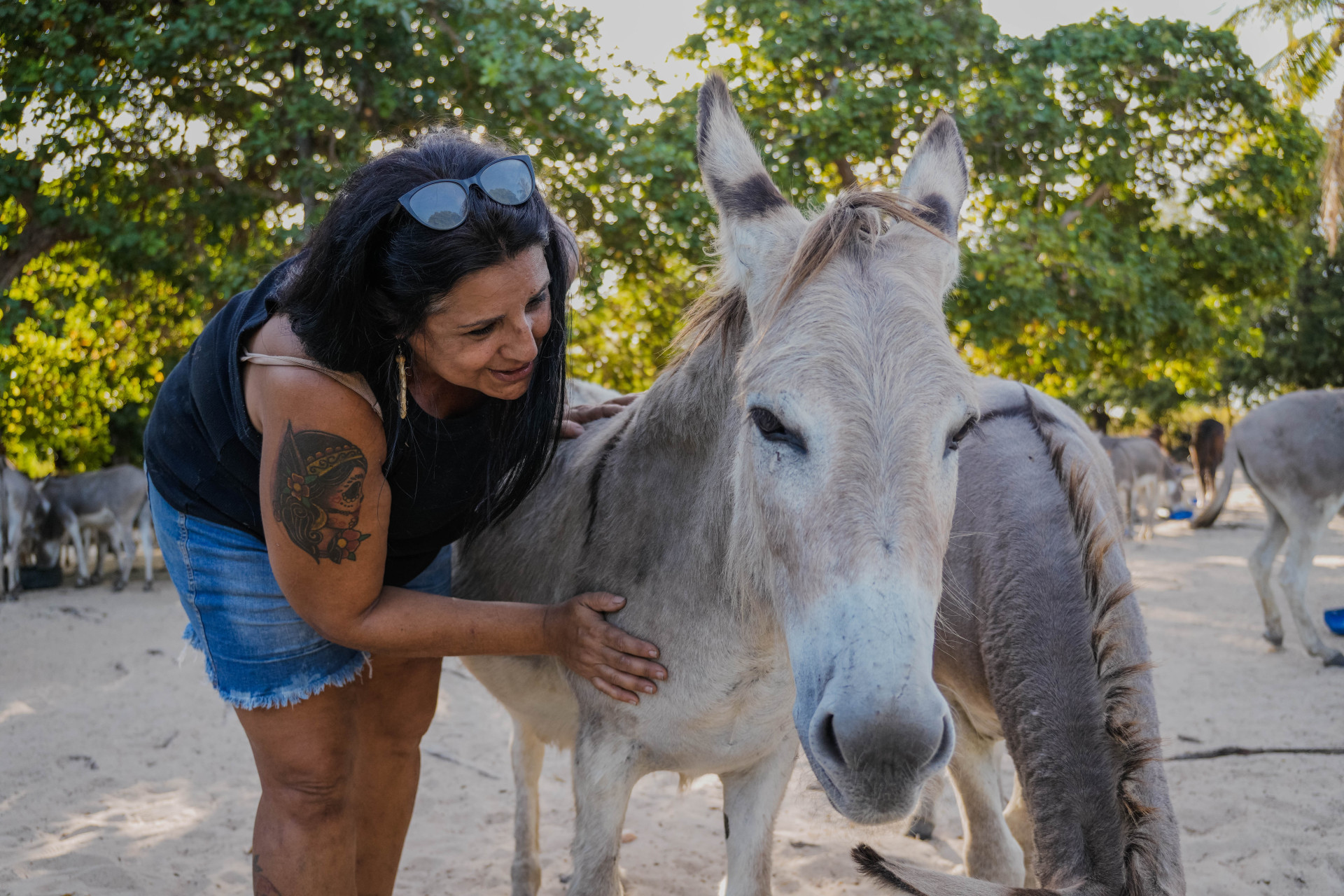 FORTALEZA, CEARÁ, BRASIL, 26-11-2025: Reportagem sobre maus-tratos de animais. Na foto, o espaço da protetora de animais, Érica de Caria, 49, que cuida de jumentos e cachorros maltratados. (Foto: Fernanda Barros/ O Povo)