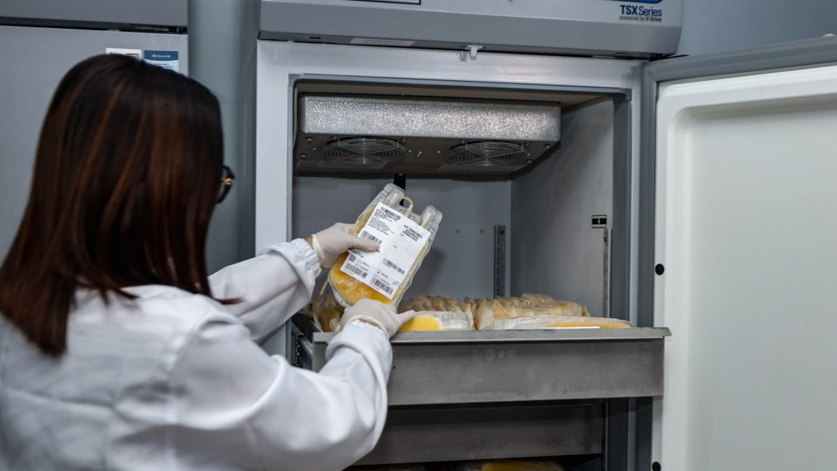 Cada freezer tem capacidade de armazenar 650 litros de plasma a -30° C