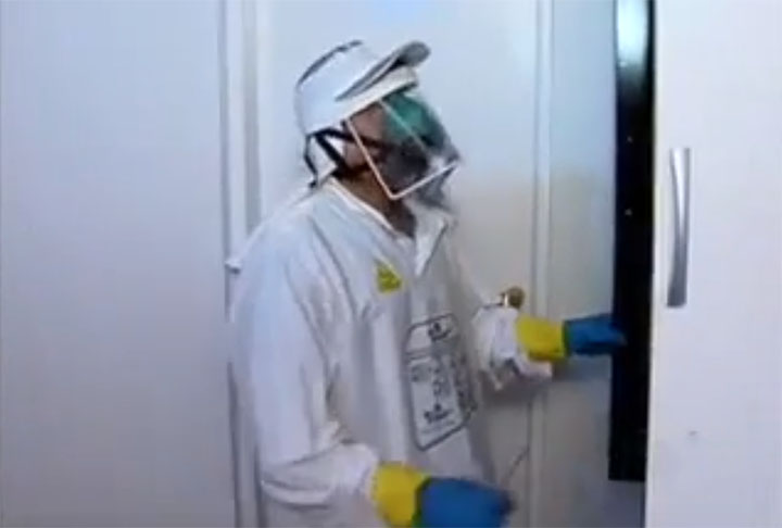 Contratar uma empresa especializada pode ser uma ótima saída. Afinal, elas têm capacidade de assegurar a proteção do seu patrimônio, normalmente de forma anual, garantindo que pragas não se espalhem. 