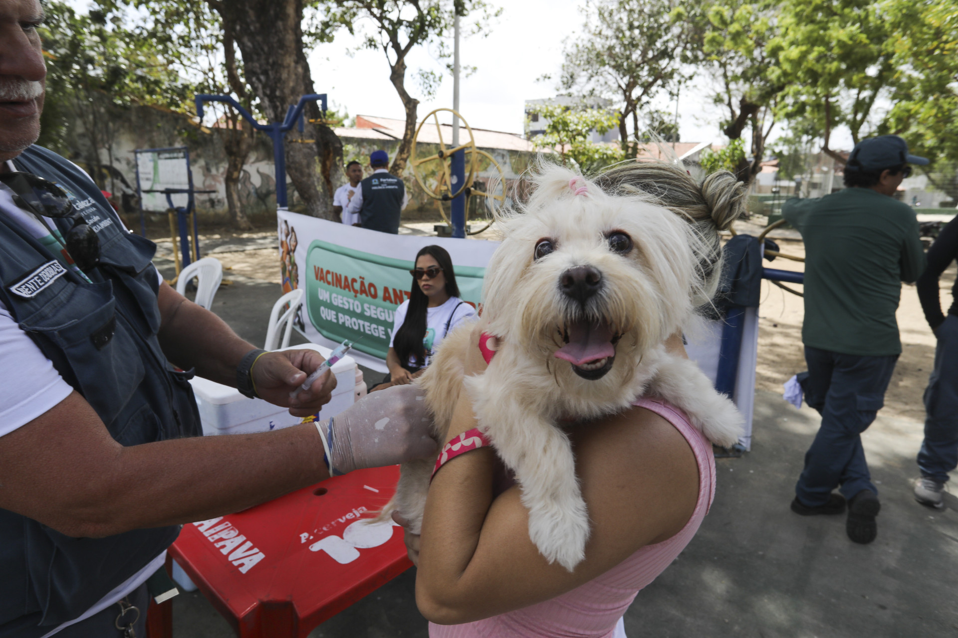 ￼DIA D de vacinação Antirrábica aconteceu no sábado, 29 (Foto: FÁBIO LIMA)