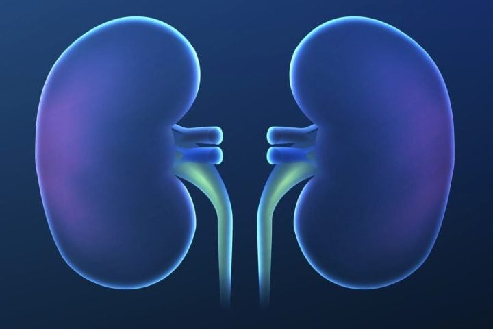 O principal motivo para esse desequilíbrio é a insuficiência renal, pois os rins ficam incapazes de filtrar e expelir o magnésio de maneira eficaz pelo xixi. 