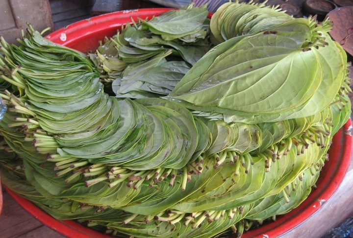 Antes, as evidências se baseavam apenas em fragmentos de plantas ou dentes manchados. 