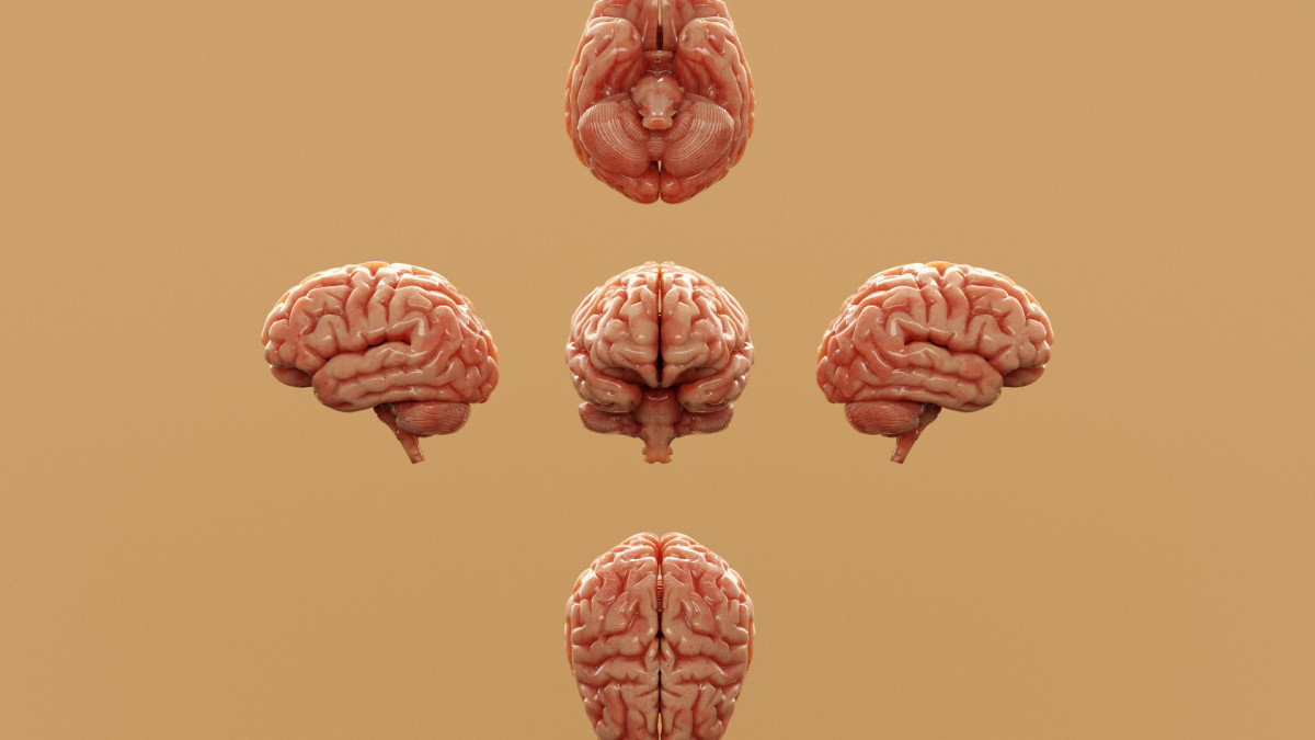 Pesquisadores afirmam que a segunda época, intitulada 