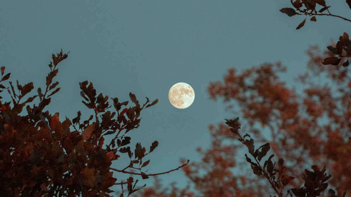 Veja em qual fase da Lua estamos neste domingo, dia 7 de dezembro de 2025; e confira calendário lunar do mês