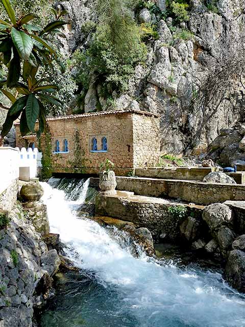 A região do Rif oferece rotas para caminhadas mais longas, incluindo caminhos que levam ao Parque Nacional de Talassemtane, famoso por suas florestas de cedros e pelas formações rochosas dramáticas. 
