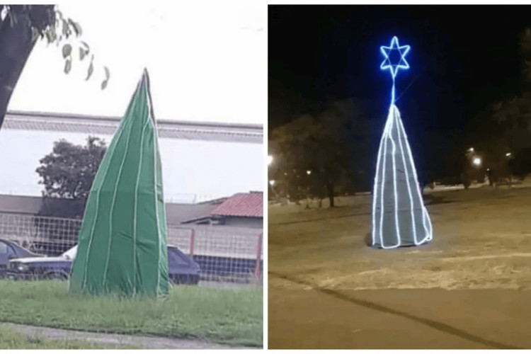 As árvores repercutiram entre os moradores de Rio Claro que julgaram a falta de esforço da prefeitura