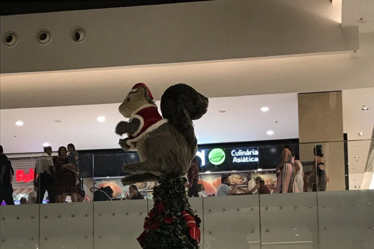 Em 2023, a imagem repercutiu novamente no X, o post pedia para que o Shopping Flamboyant voltasse com o esquilo 