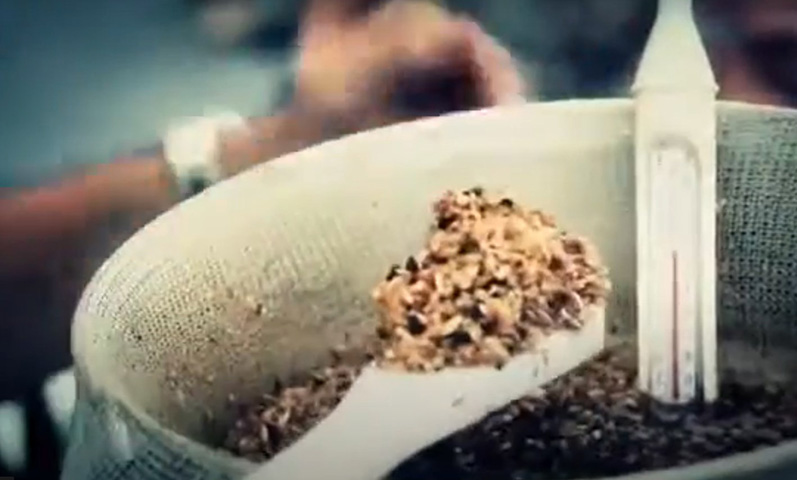 Cerveja de formiga - Lamas - A ideia de juntar saúvas à fórmula se deve ao sabor cítrico das formigas. Também recebe figo e tucupi negro. 