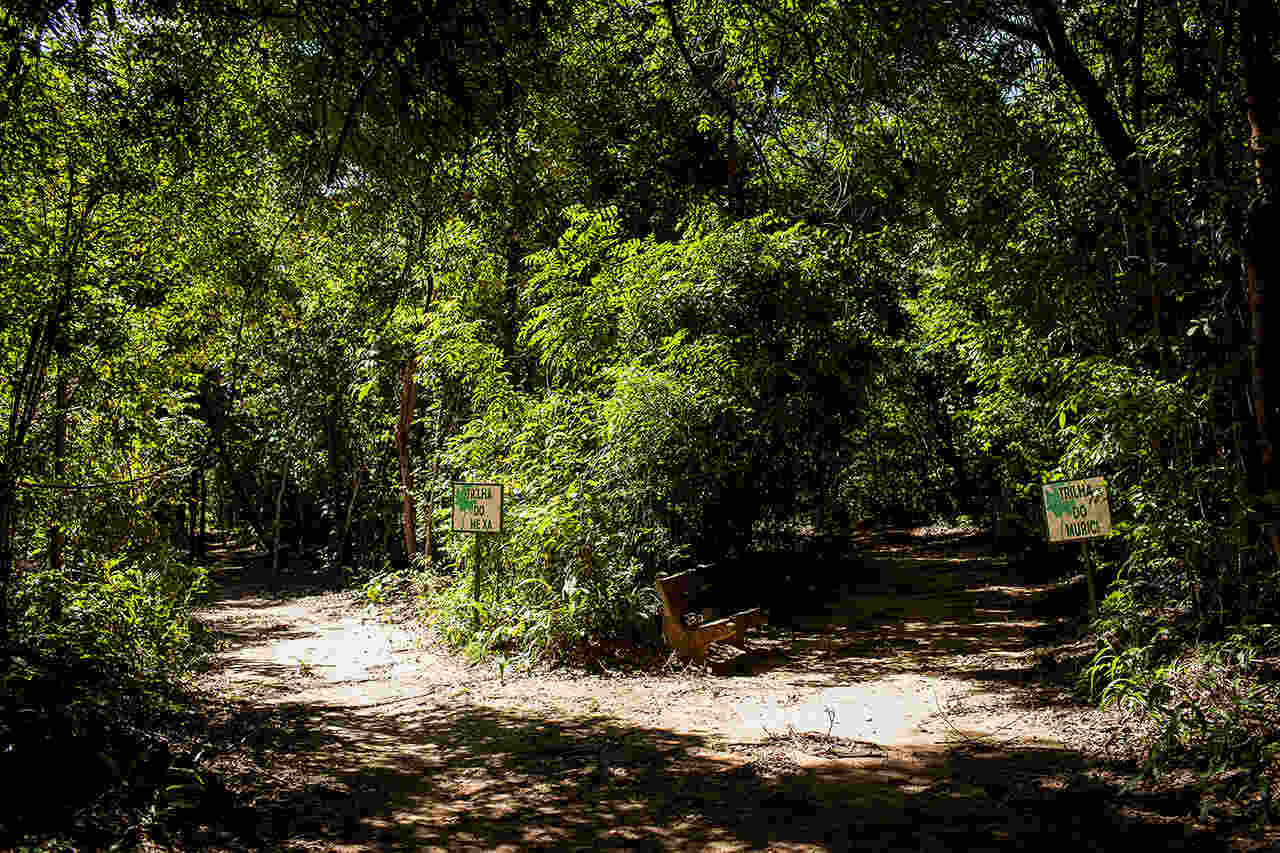 Já o apelido Cidade Verde foi dado pelo escritor Coelho Neto, encantado com a arborização da cidade. As ruas e avenidas, portanto, eram entremeadas de árvores, além de grandes áreas verdes. 