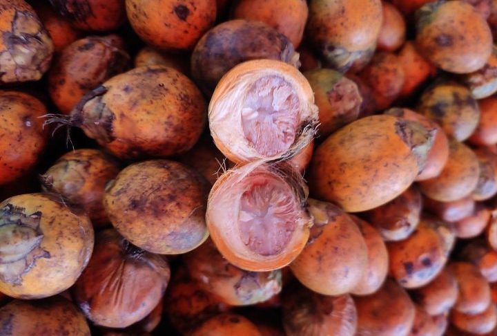 Um grupo de arqueólogos identificou o consumo de noz de bétele em placas dentárias humanas datadas de 4 mil anos atrás.