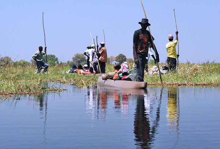 A experiência no Okavango é diferenciada pelo cenário aquático, que proporciona uma observação de animais mais íntima