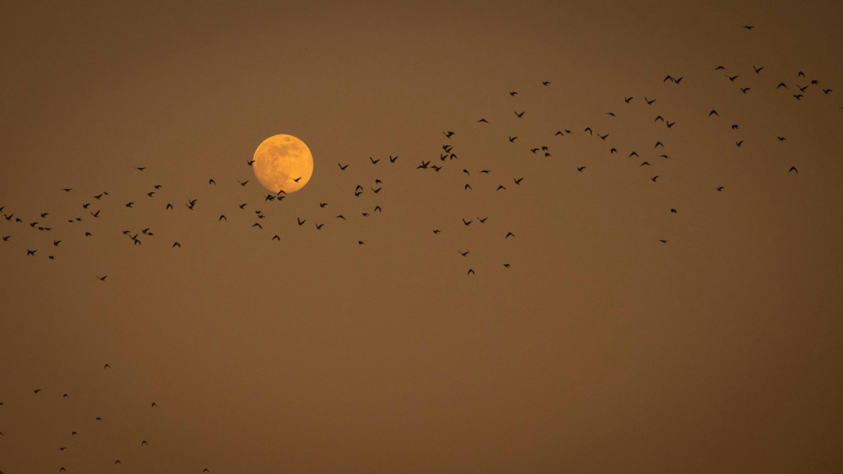 Veja em qual fase da lua estamos nesta quarta-feira, dia 10 de dezembro de 2025; e confira o calendário lunar completo do mês 