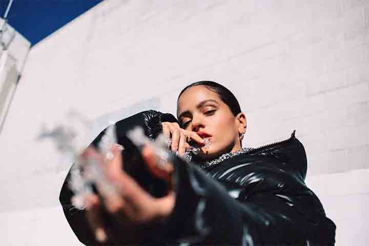 No dia seguinte, Rosalía circulou pelo Centro da cidade com um vinil de “Em Pleno Verão” (1970), de Elis Regina, álbum em que a cantora brasileira interpreta composições de grandes nomes da MPB, como Roberto Carlos, Gilberto Gil, Caetano Veloso, Tom Jobim e Vinícius de Moraes. O fato teve grande repercussão nas redes sociais.
