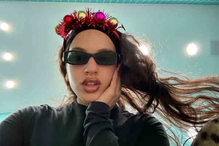 Seu primeiro álbum, “Los Ángeles” (2017), foi o cartão de visitas de uma artista que buscava conciliar tradição e contemporaneidade. Com releituras e interpretações de temas tradicionais do flamenco em arranjos minimalistas, o disco recebeu aclamação da crítica, colocando Rosalía no radar internacional 
