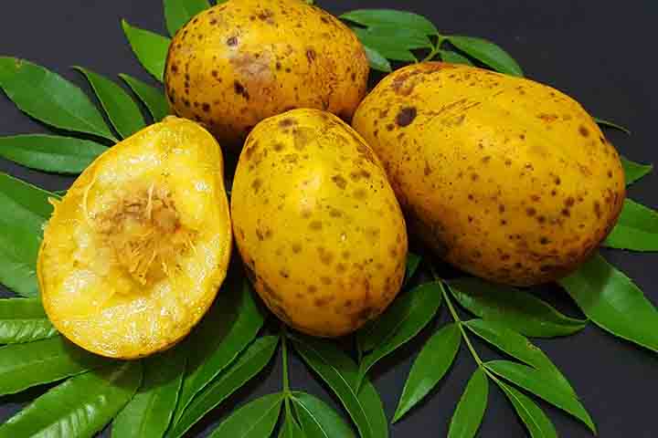 O cajá-manga, conhecido cientificamente como Spondias dulcis, tem origem nas Ilhas da Sociedade, um arquipélago na Polinésia Francesa, no Oceano Pacífico.