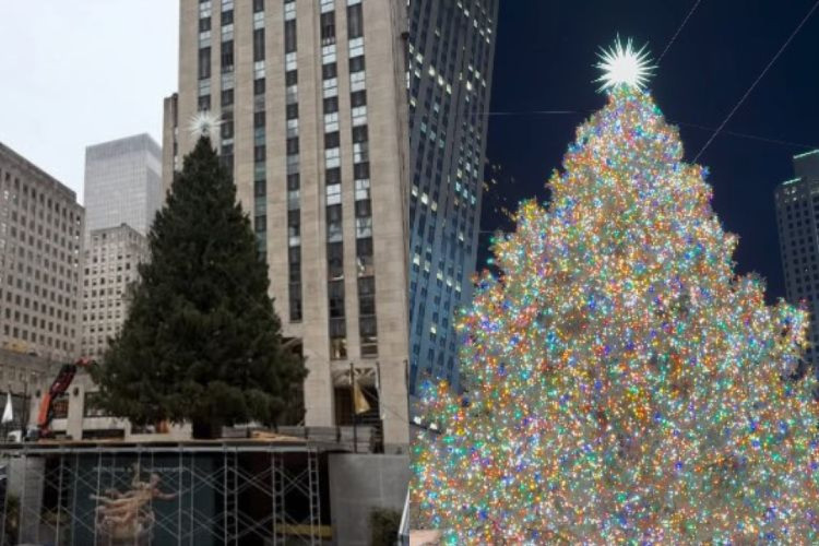 A grande árvore de Rockefeller é popular na cidade de Nova York, aparecendo em filmes e séries americanas