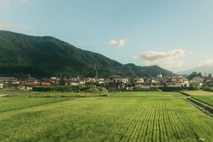 Em meio à previsão de que o país pode perder um terço de suas fazendas tradicionais até 2035, essas figuras se tornaram guardiãs de um modo de vida que está desaparecendo, preservando a cultura do arroz e a memória rural japonesa.