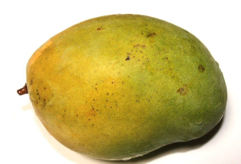 A manga possui um valor cultural e econômico significativo, sendo uma fruta popular no Brasil, com um mercado interno e externo robusto.  