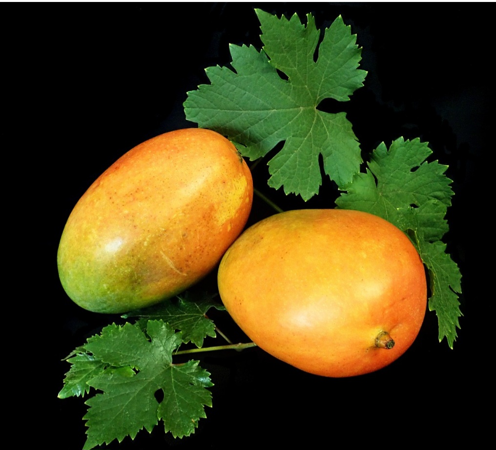 Dessa forma, ela é uma excelente fonte de vitamina C, que é um poderoso antioxidante e ajuda a fortalecer o sistema imunológico. 
