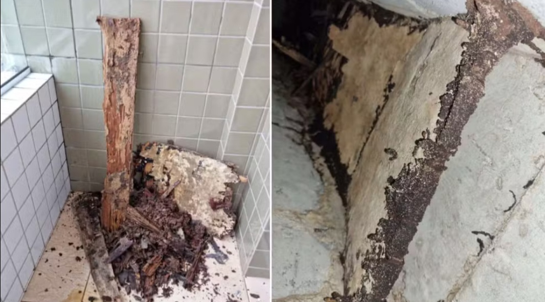 De acordo com os moradores, o problema se estendeu por aproximadamente três anos, atingindo espaços coletivos como a piscina, o salão de festas e a academia. 
