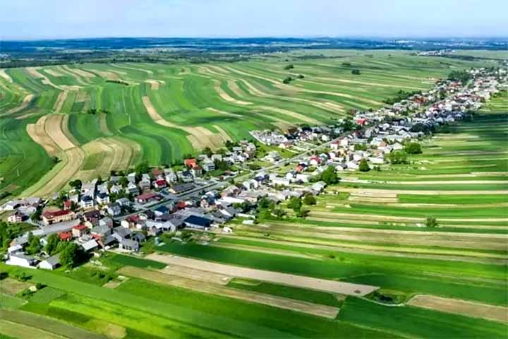 Suloszowa ganhou fama nas redes sociais graças a imagens aéreas que revelam sua aparência peculiar, com a rua cortando as paisagens verdes e douradas, formando um padrão que lembra uma folha. 