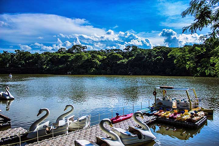 Maringá ampliou rotas de coleta, melhorou o sistema de varrição e adotou ações de controle ambiental que reduziram o acúmulo de resíduos. Além disso, a prefeitura investiu em tecnologia para monitorar áreas críticas e em programas que reforçam o cuidado com espaços públicos.