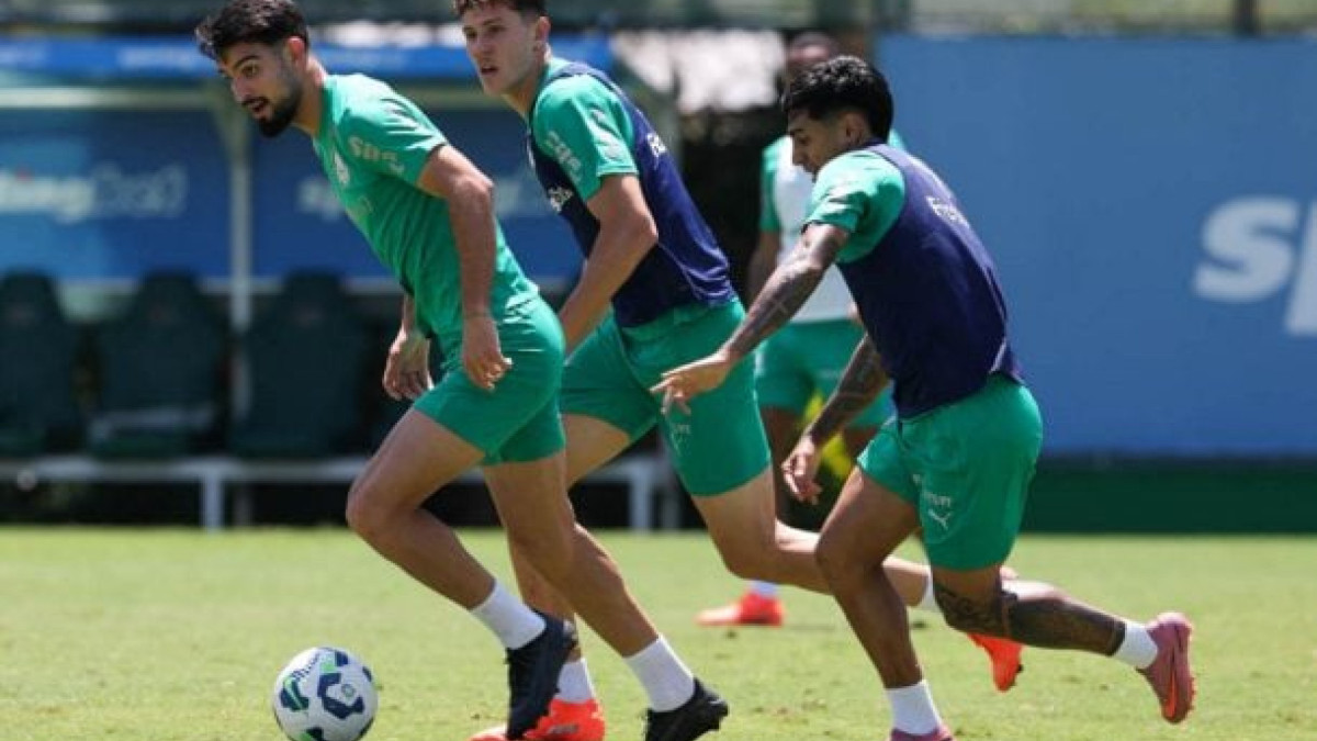 Lista de baixas do técnico Abel Ferreira conta com jogadores lesionados e suspensos para enfrentar o Ceará, no Castelão, no domingo