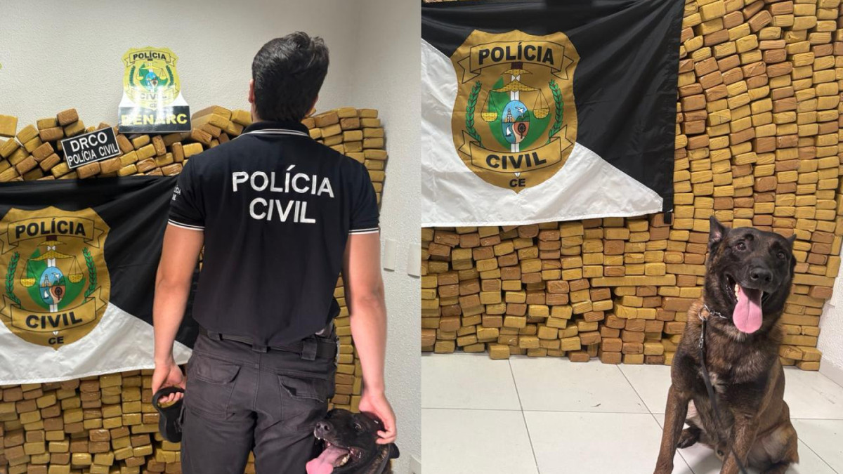 Foram apreendidas 2,5 toneladas de maconha em Pindoretama, no Ceará