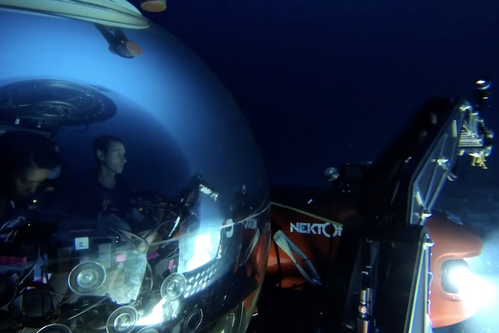 Uma esponja carnívora, apelidada de “bola da morte”, foi encontrada a 3.600 metros de profundidade.